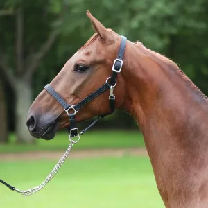 1" Triple Stitched Adjustable Chin Halter Name Plate Included