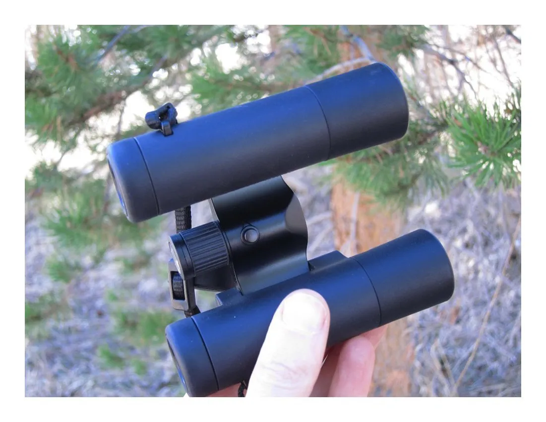 Leica 10x25 Ultravid BR Binoculars (Black Rubber)