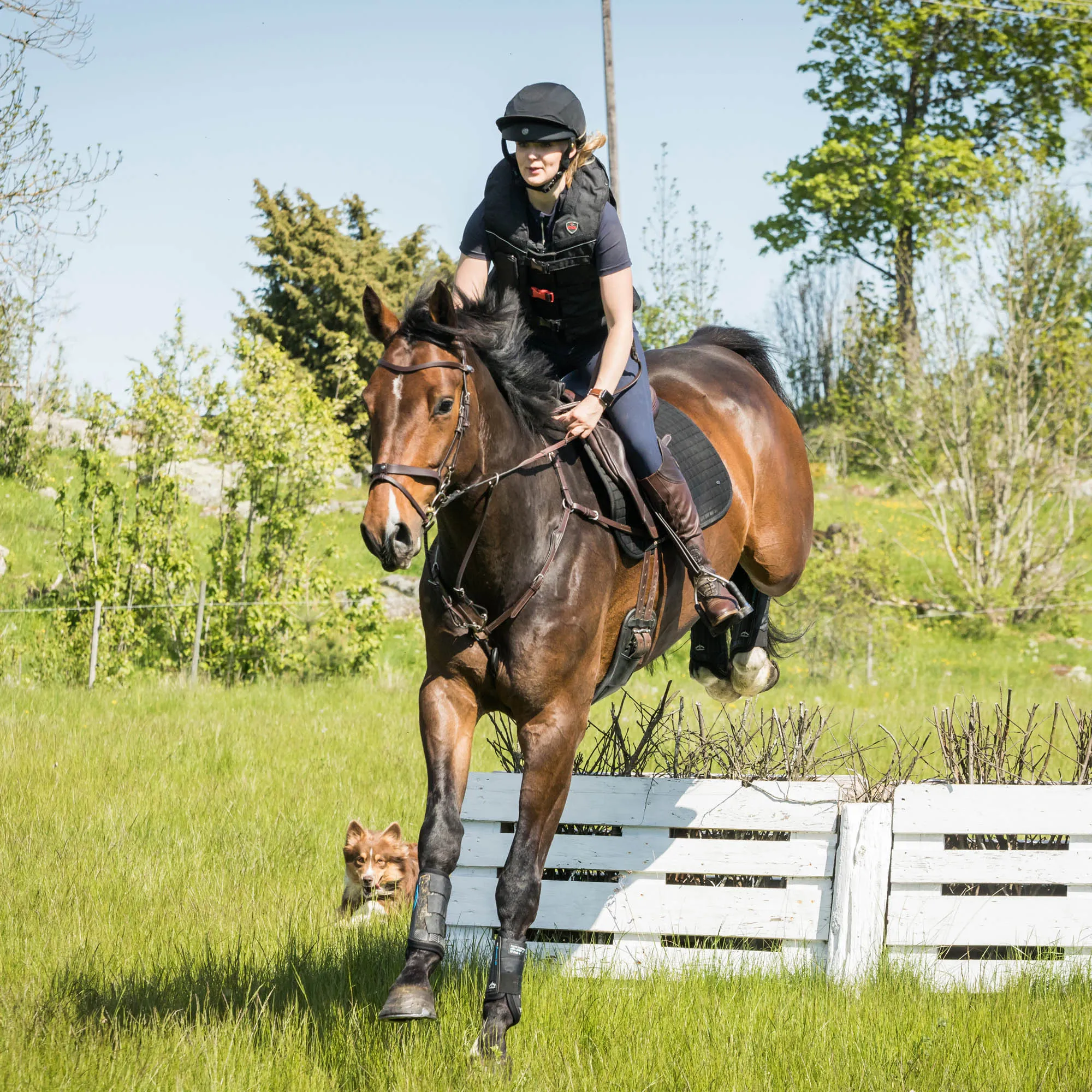 Lynx Eventing Field Competition Helmet